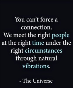 You can't force a connection. We meet the right people at the right time under the right circumstances through natural vibrations. - The Universe